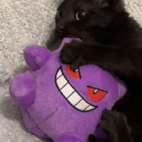 Meet your Posher, Shreya - Picture 1 of 1